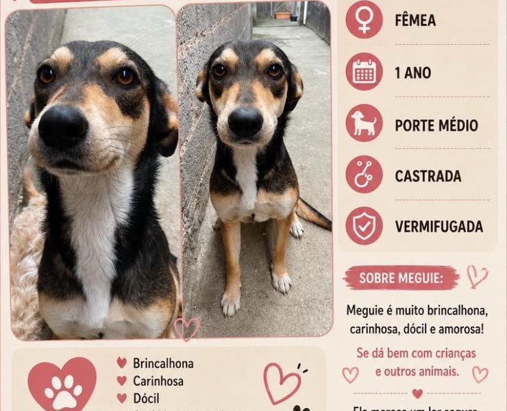 Meguie (Adoção Urgente)