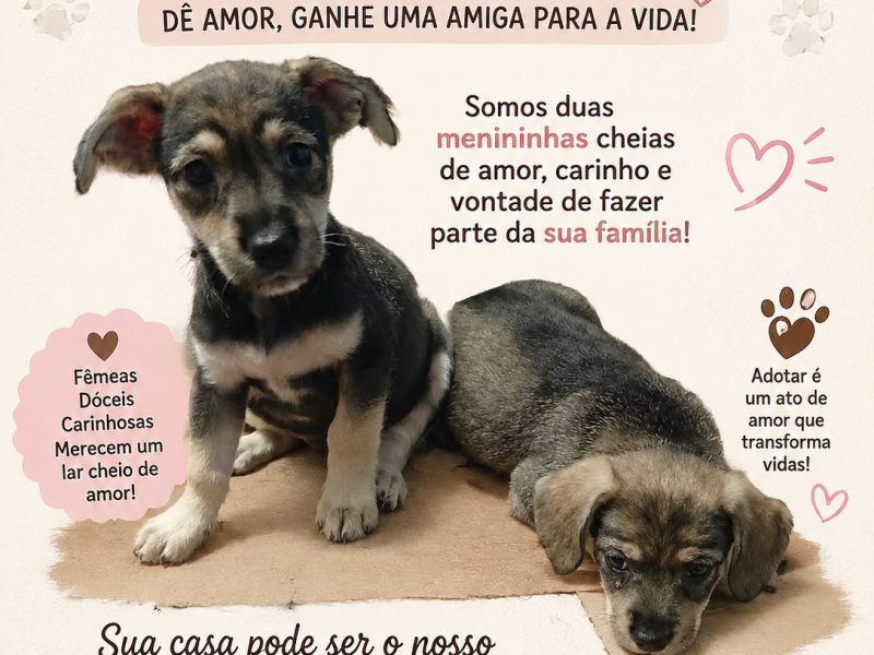 Filhotes (Adoção Urgente)