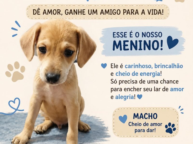 Filhotes (Adoção Urgente)