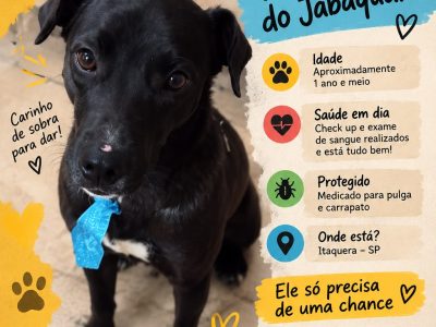 Roberto (Adoção Urgente)