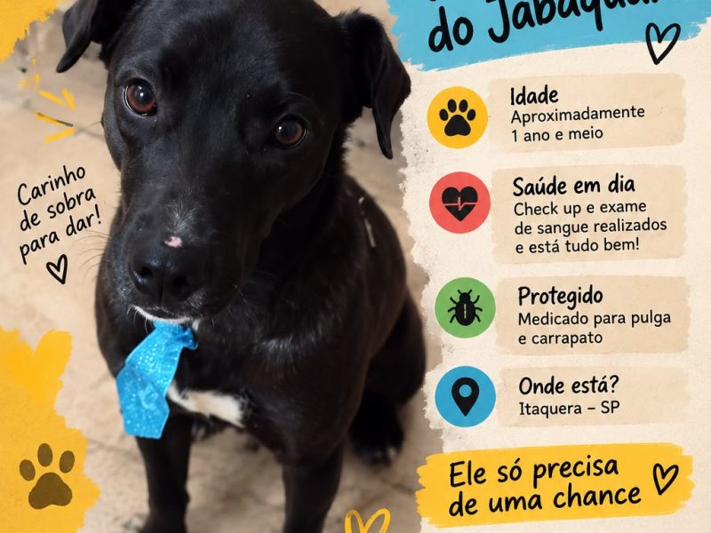Roberto (Adoção Urgente)