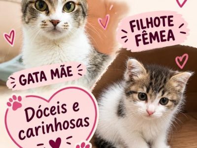 Filhote e Mãe (Adoção Urgente)
