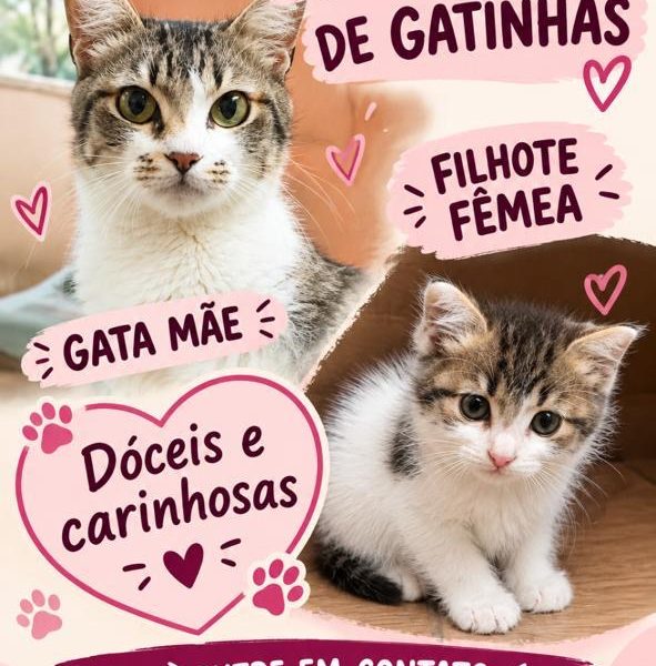 Filhote e Mãe (Adoção Urgente)