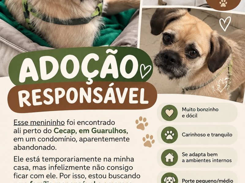 Chaveco (Adoção Urgente)