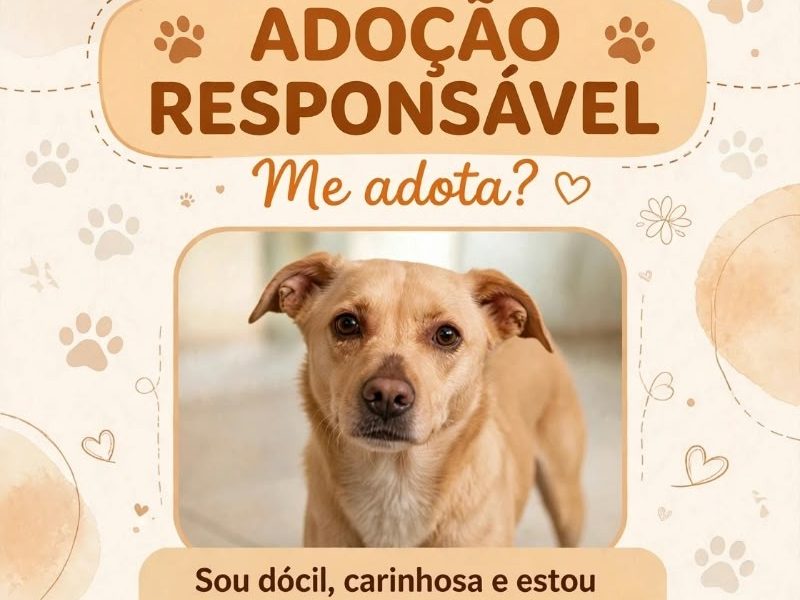 July (Adoção Urgente)