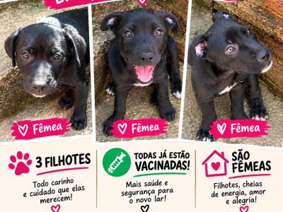 Filhotes (Adoção Urgente)